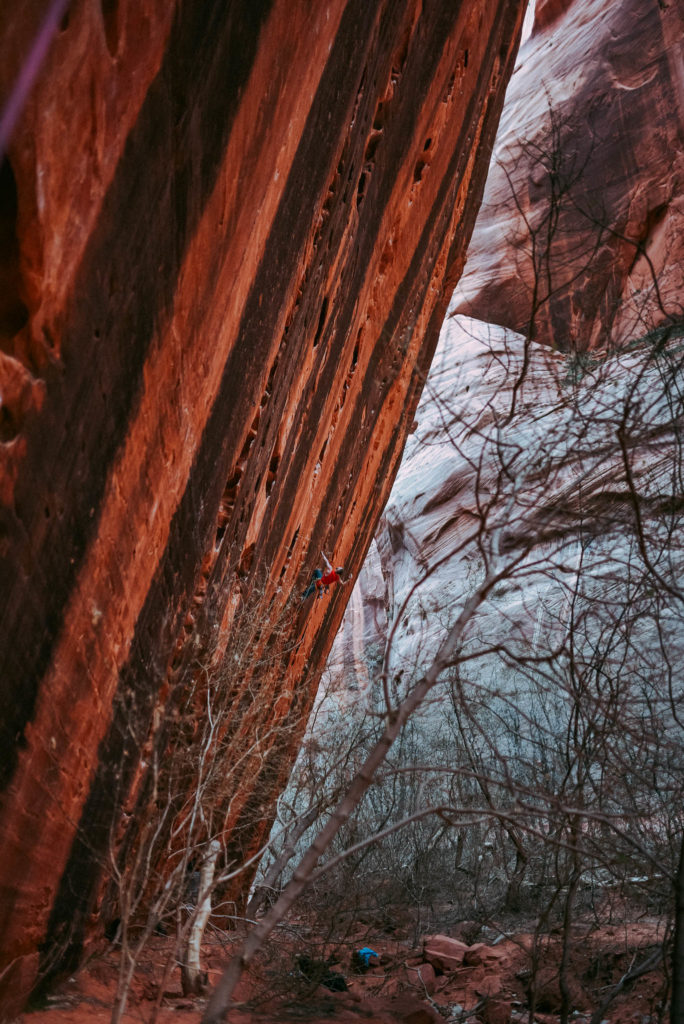 Sport Climbing at Namaste Wall in Kolob Canyon Zion national park utah photographed by the foxes photography adventure wedding photographers and outdoor lifestyle photography