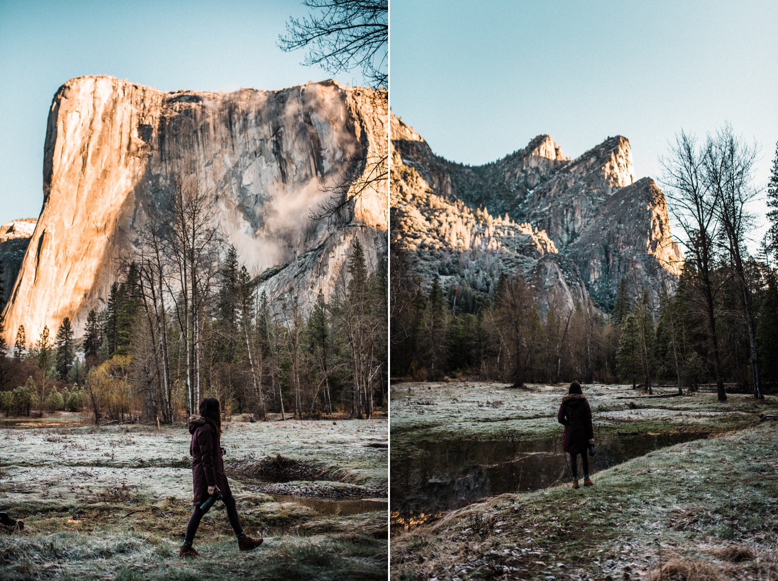 Yosemite in April Gushing Waterfalls and a Peaceful Valley The Foxes