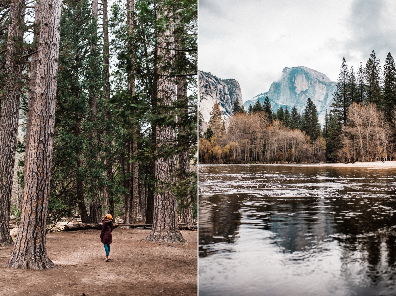 Yosemite in April Gushing Waterfalls and a Peaceful Valley The Foxes