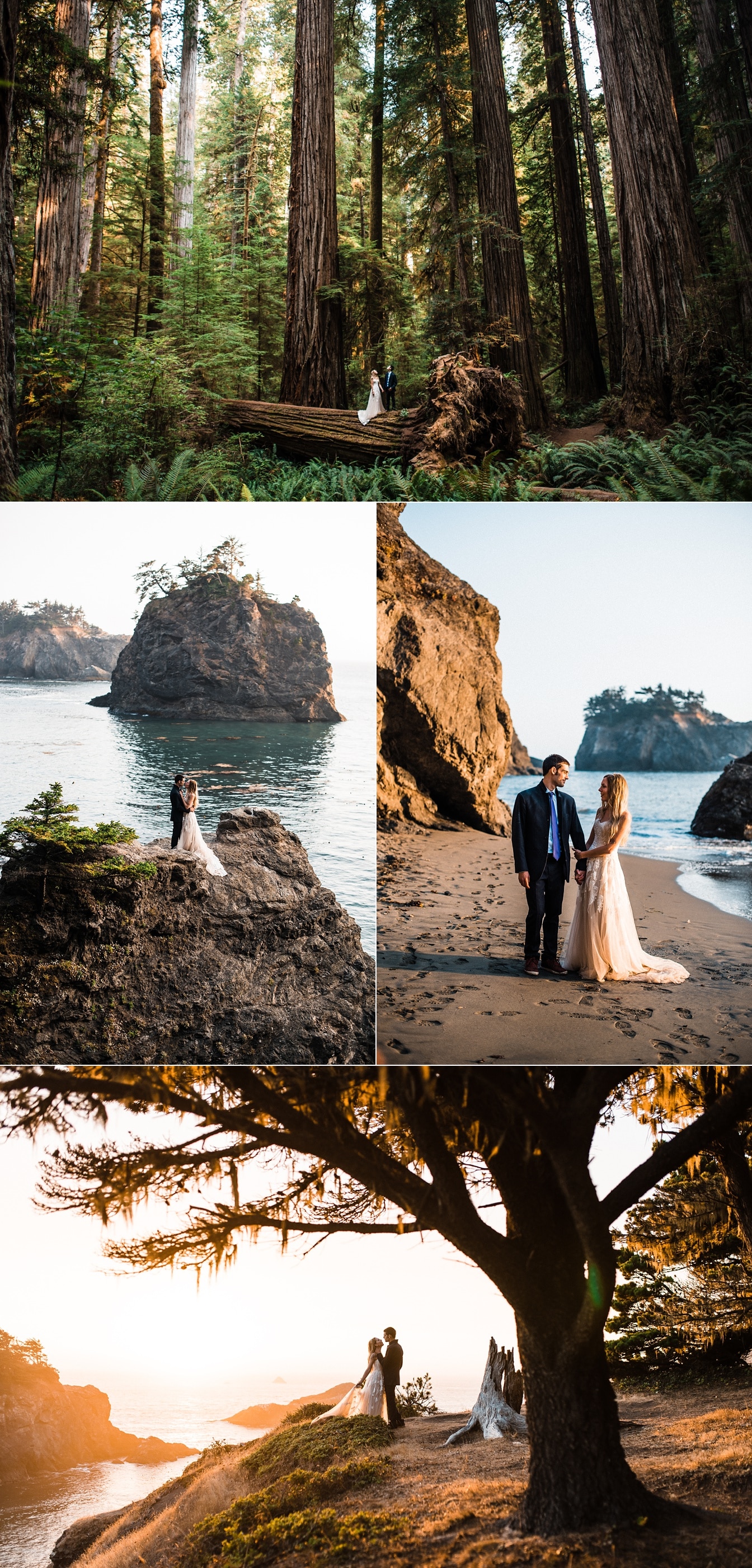 Redwood Forest Wedding Ocean Cliff Elopement The Foxes